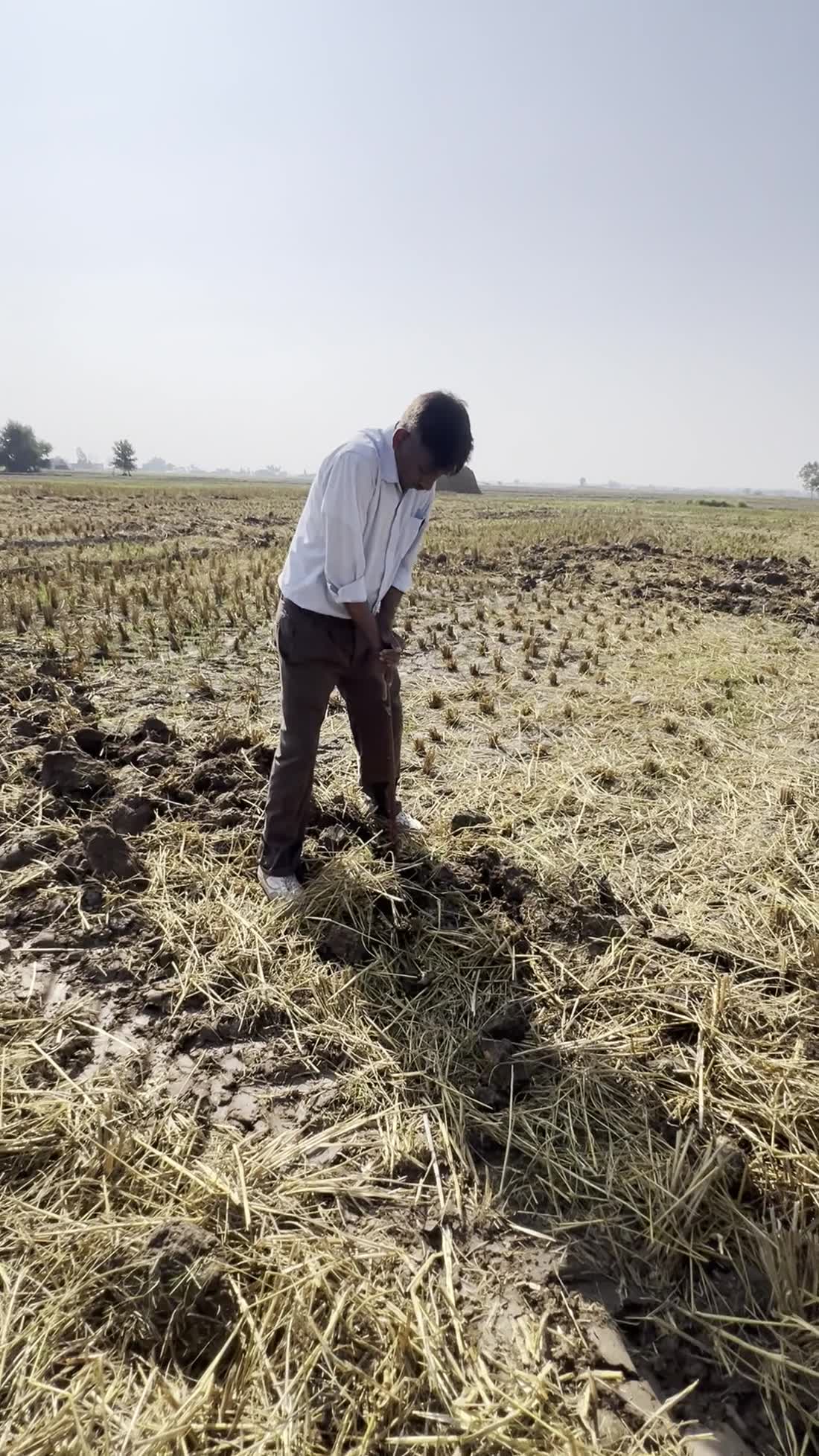 A farmer inspecting a field after harvest